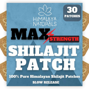 ShilajitShelegit